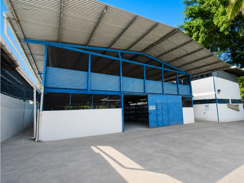 BODEGA EN ALQUILER | PUEBLO NUEVO | FACIL ACCESO A TRANSISTMICA - 5
