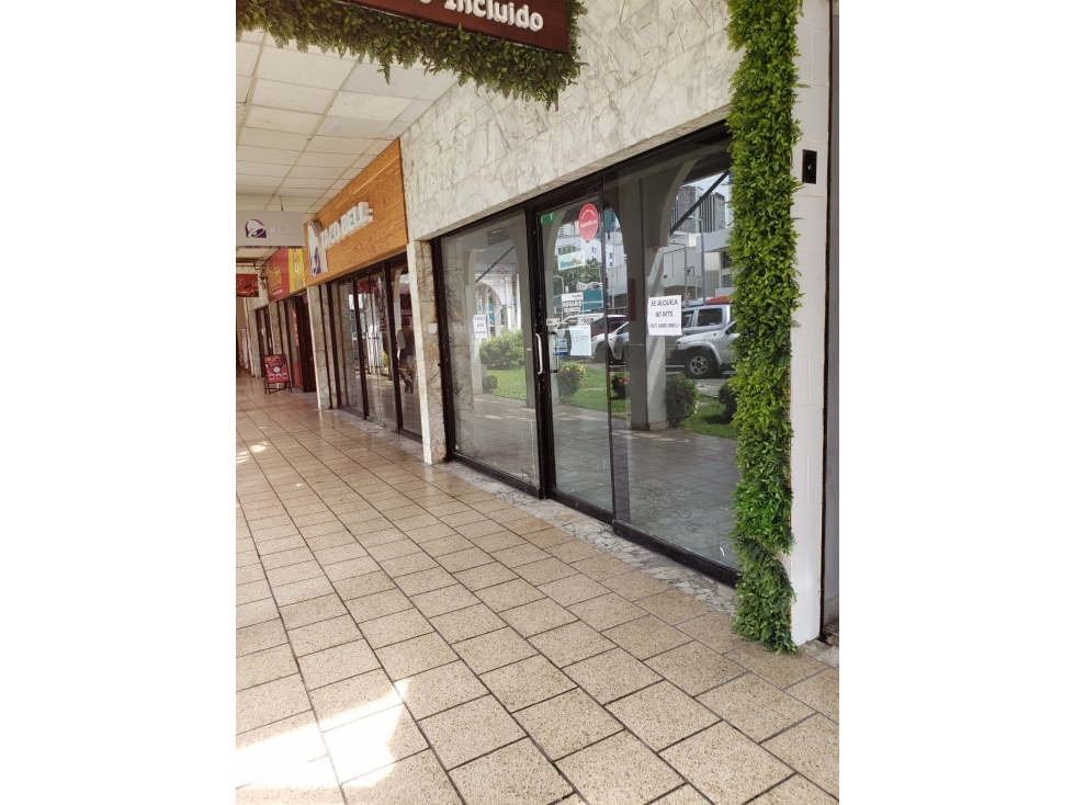SE ALQUILA LOCAL COMERCIAL | VIA ESPAÑA - 2