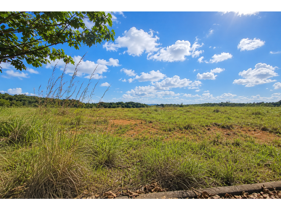 TERRENOS PARA DESARROLLO RESIDENCIAL | PEDREGAL | COOREDOR NORTE — foto 5