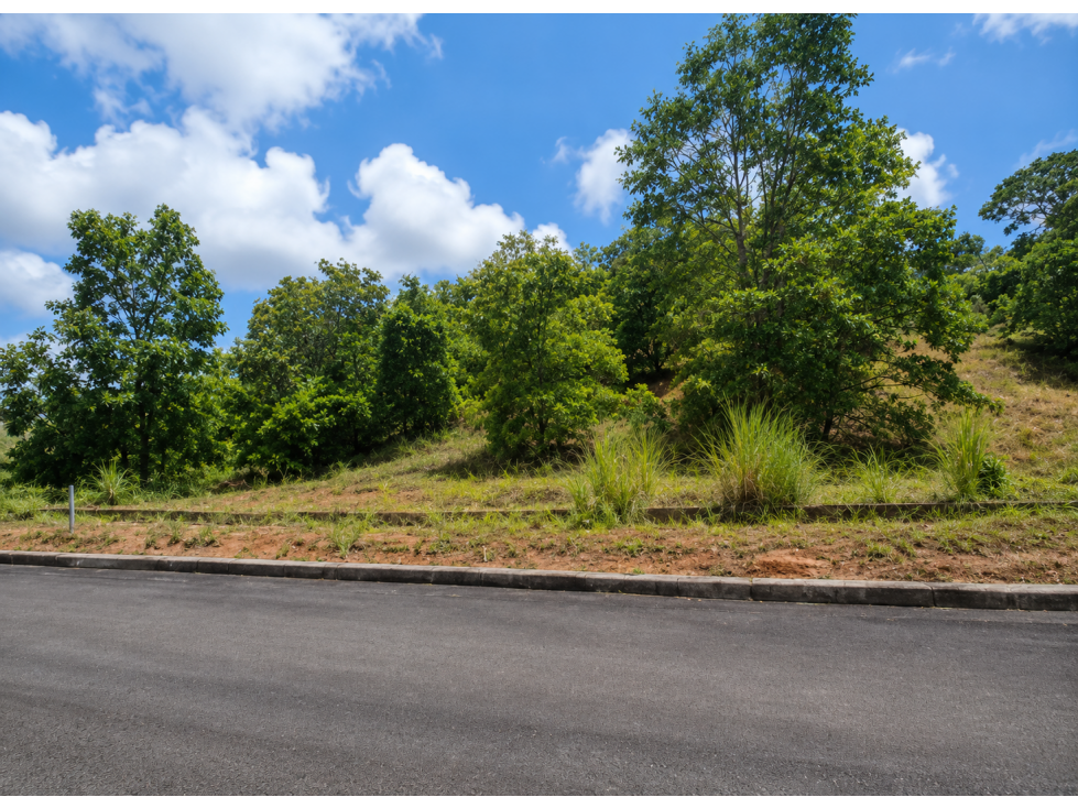 TERRENOS PARA DESARROLLO RESIDENCIAL | PEDREGAL | COOREDOR NORTE — foto 6