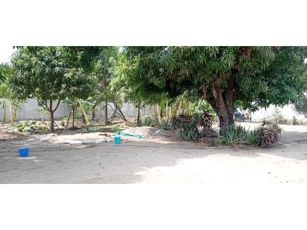 Se vende hermoso lote por el Aeropuerto de Santa Marta — foto 3