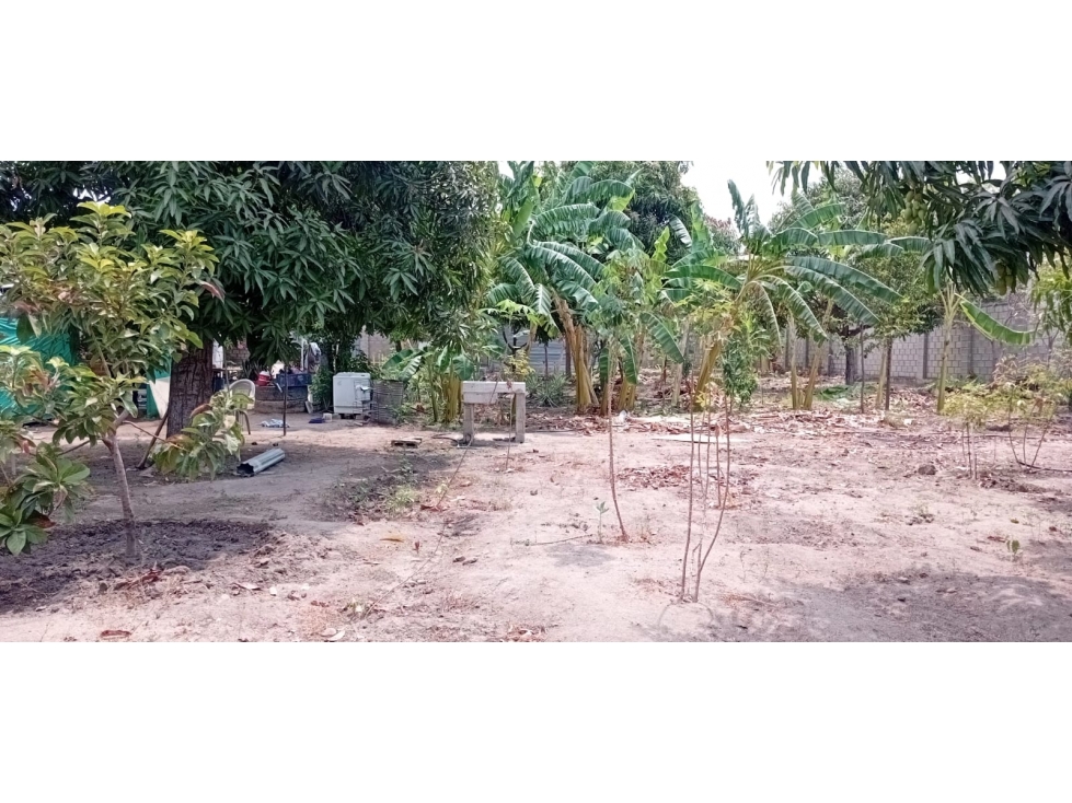 Se vende hermoso lote por el Aeropuerto de Santa Marta — foto 4