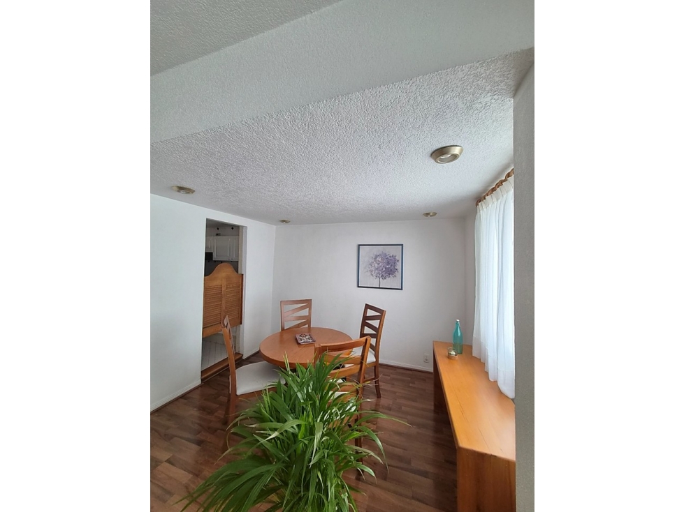 RENTA DE DEPARTAMENTO EN LA DEL VALLE - 5