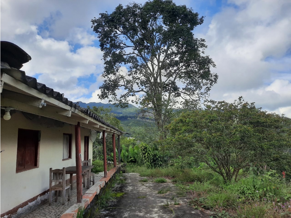 LOTES EN VENTA EN JERICO, ANTIOQUIA - 1