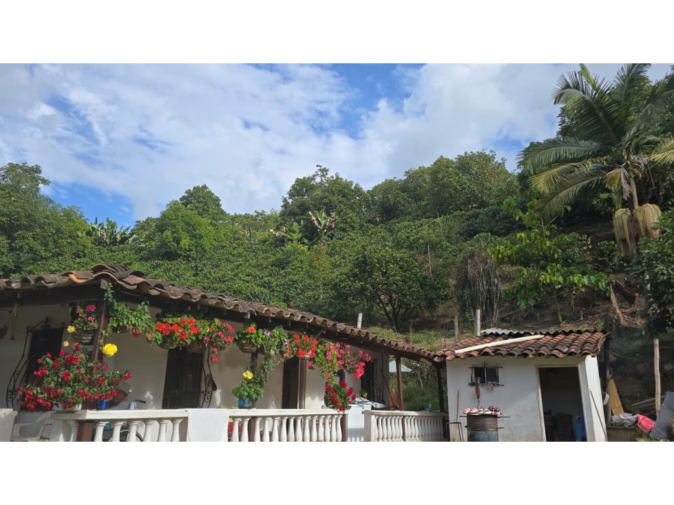 CASA FINCA EN EL ANTIOQUIA PEÑOL GUAMITO — foto 5
