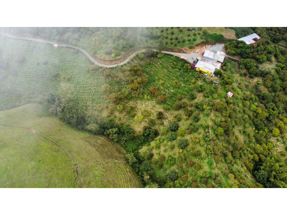 FINCA EN VENTA EN AGUADAS, CALDAS - 2