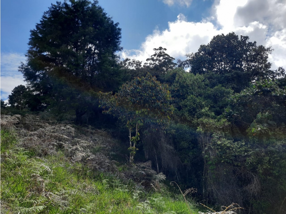 LOTES EN VENTA EN JERICO, ANTIOQUIA - 3