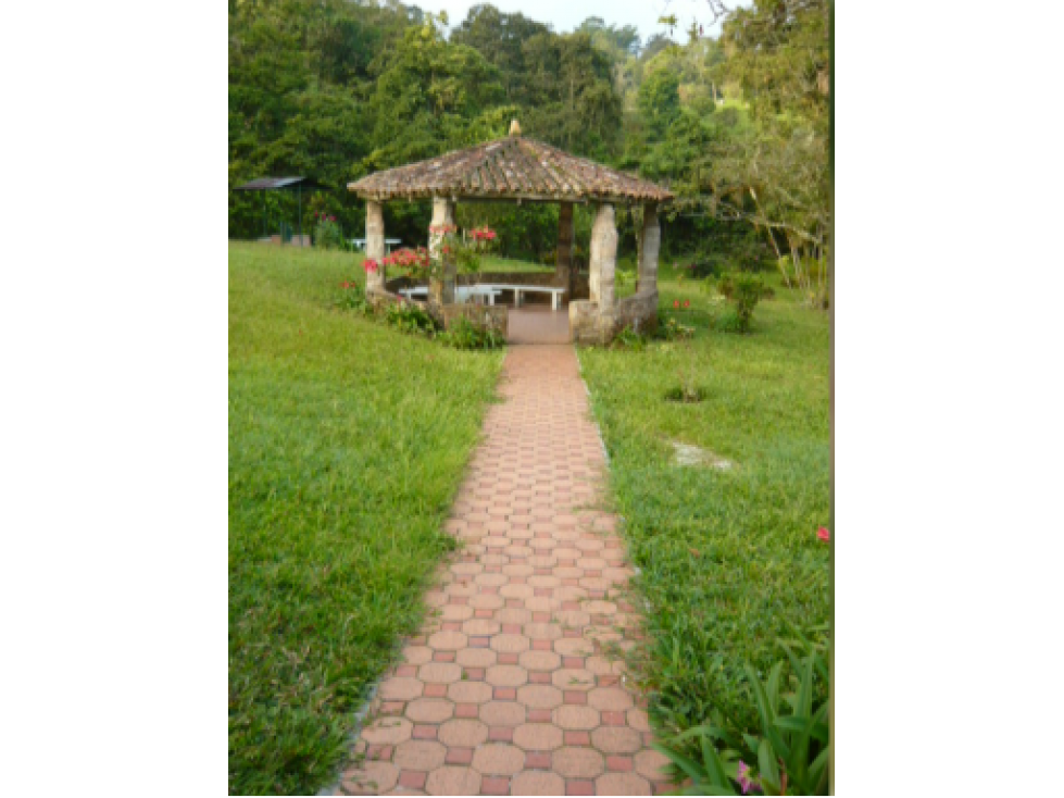 EN VENTA CASA FINCA EN EL MUNICIPIO DE SASAIMA CUNDINAMARCA - 3