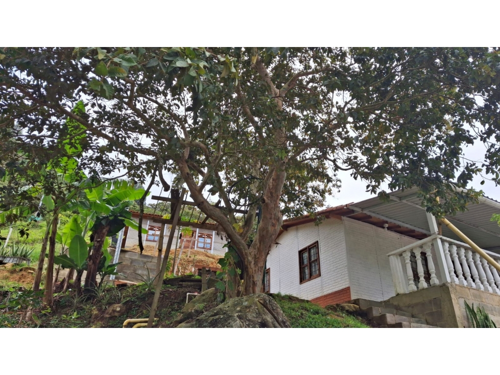 FINCA EN VENTA EN GIRARDOTA ANTIOQUIA