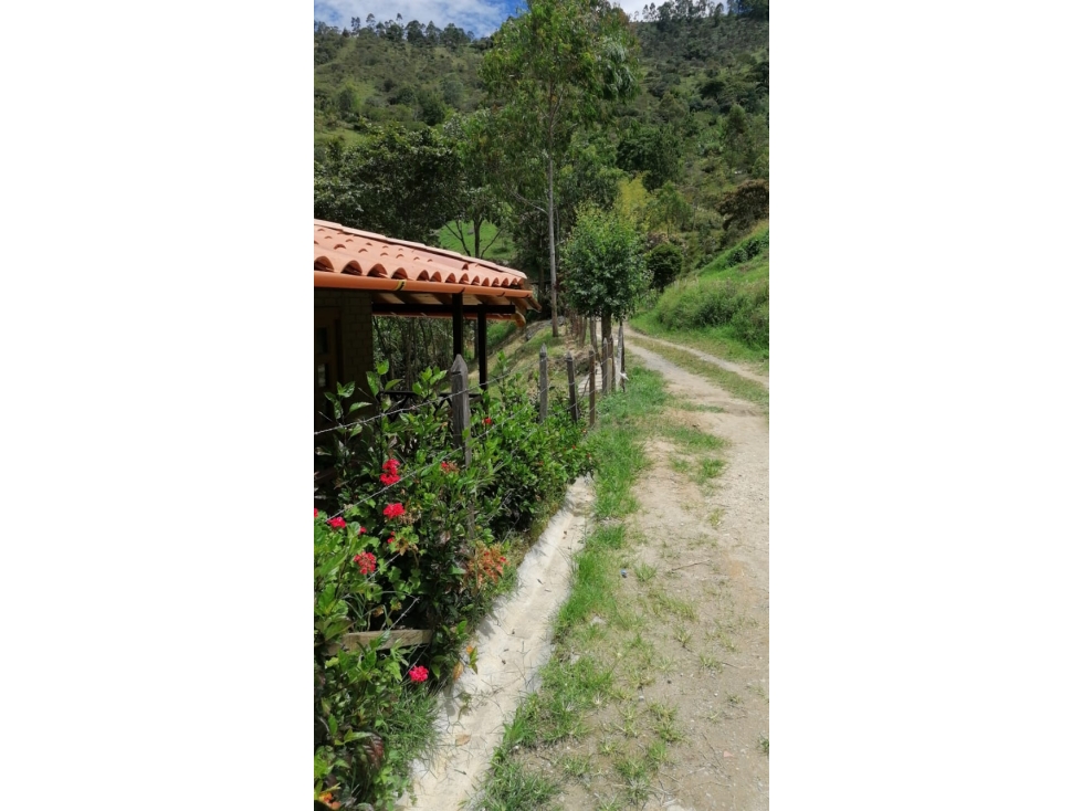 SE VENDE FINCA EN GIRARDOTA, ANTIOQUIA — foto 3