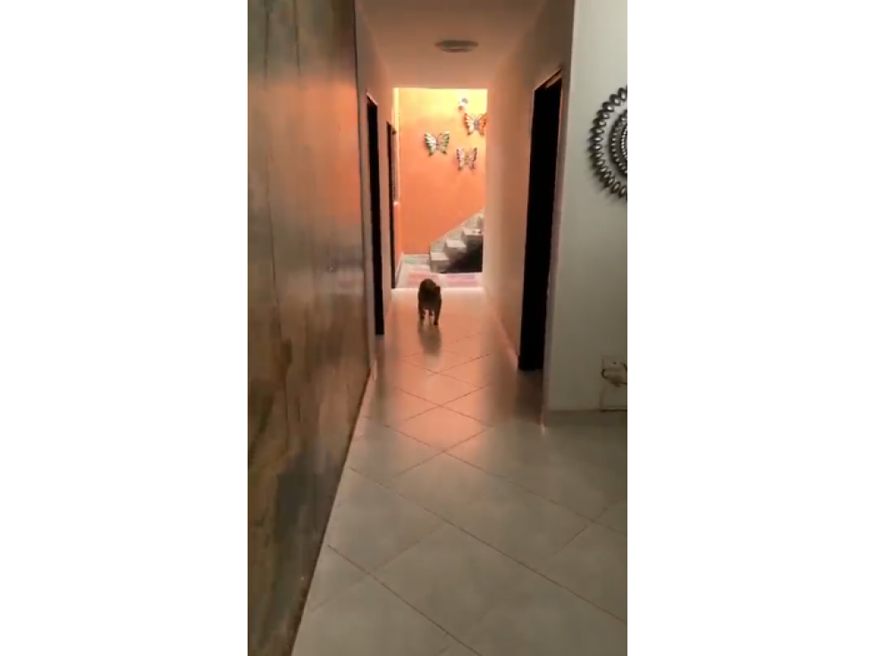 EN VENTA CASA EN EL SALVADOR, MEDELLIN PISO 2-3 — foto 6