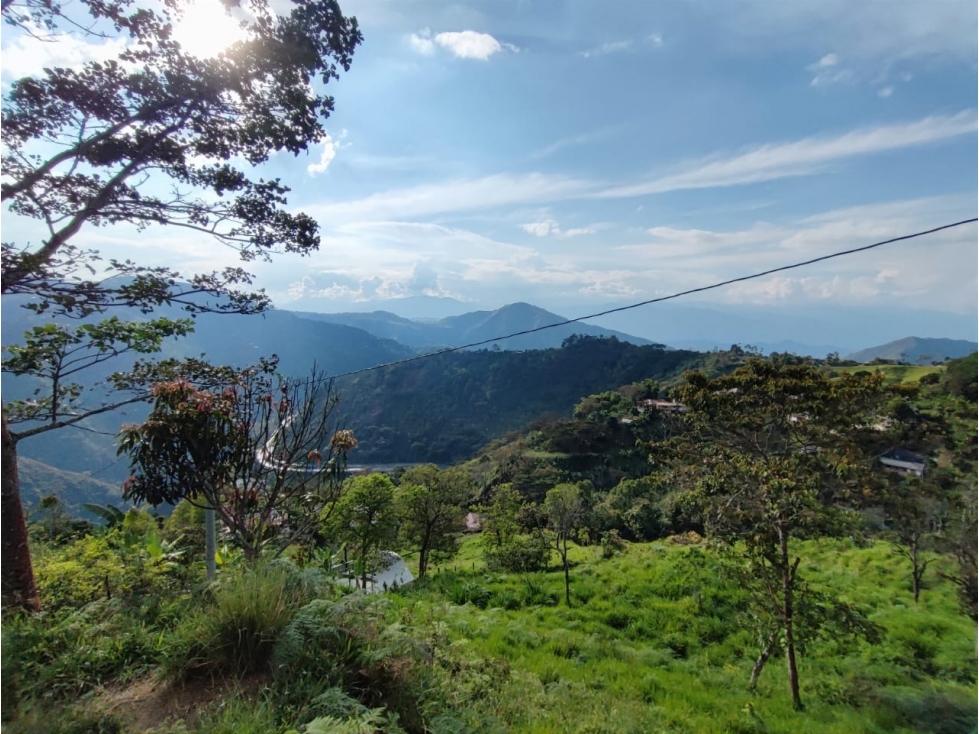 BAJO DE PRECIO! FINCA EN VENTA,SAN SEBASTIAN DE PALMITA — foto 5