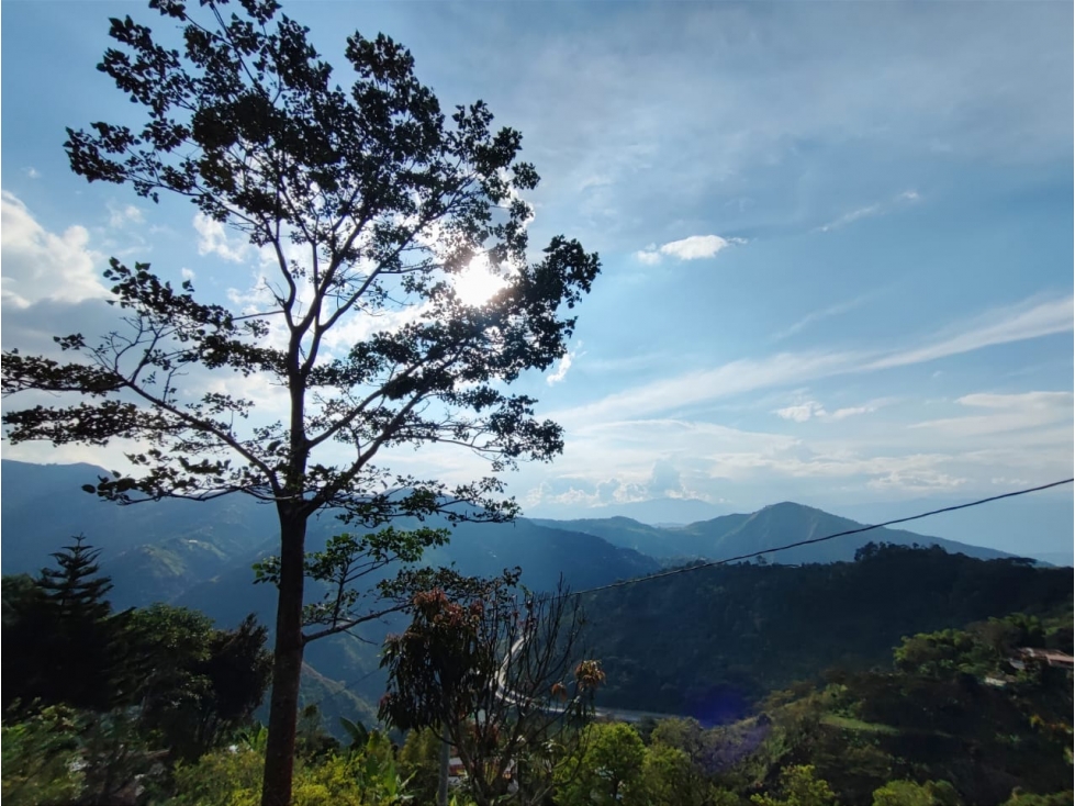 BAJO DE PRECIO! FINCA EN VENTA,SAN SEBASTIAN DE PALMITA — foto 4