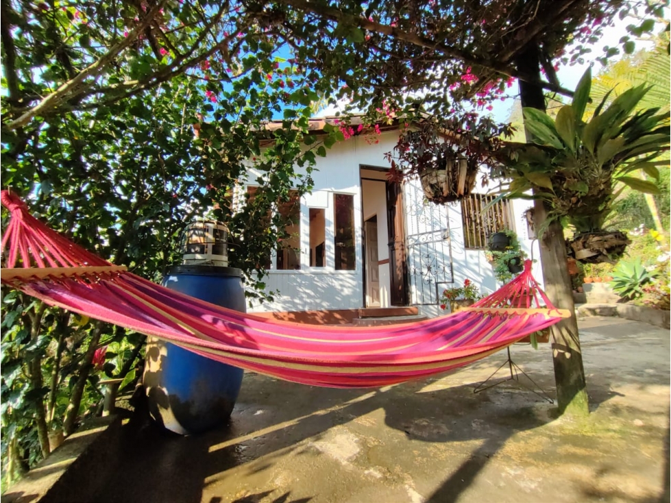 BAJO DE PRECIO! FINCA EN VENTA,SAN SEBASTIAN DE PALMITA — foto 6
