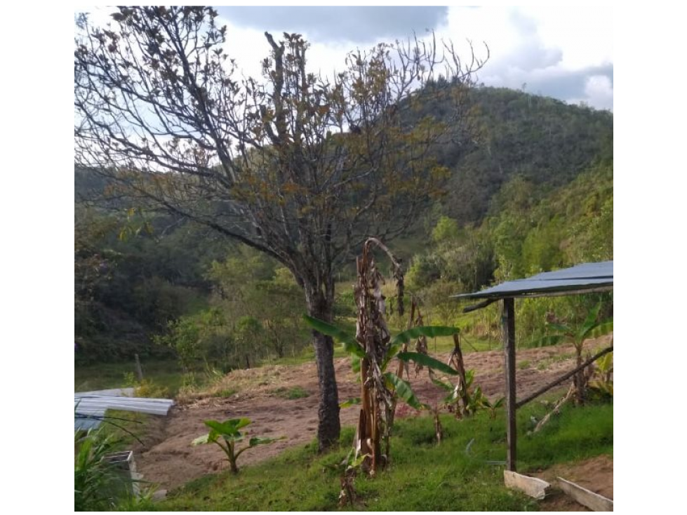 FINCA EN VENTA SAN VICENTE FERRER , ANTIOQUIA - 4