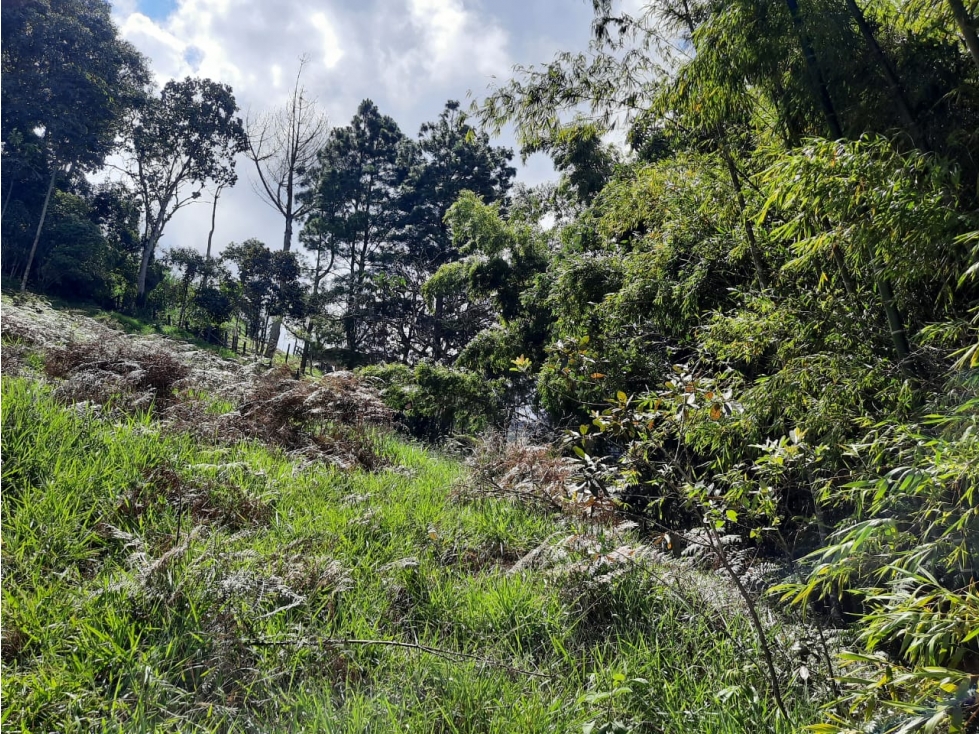 LOTES EN VENTA EN JERICO, ANTIOQUIA - 6
