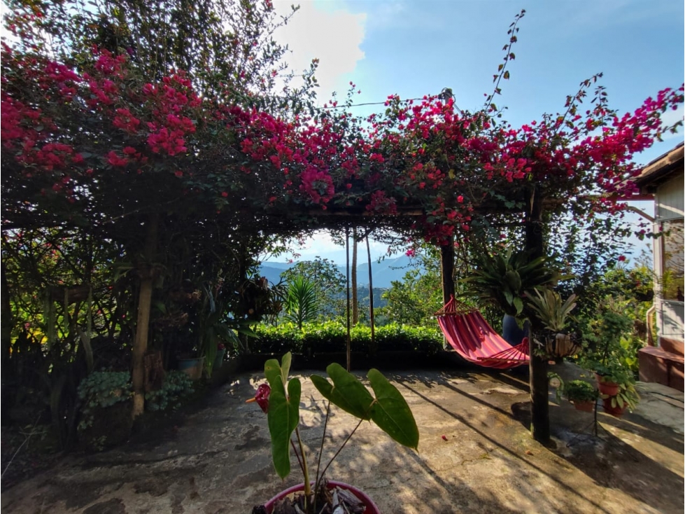 BAJO DE PRECIO! FINCA EN VENTA,SAN SEBASTIAN DE PALMITA — foto 3