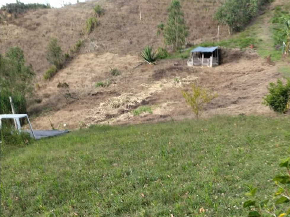 FINCA EN VENTA SAN VICENTE FERRER , ANTIOQUIA - 1