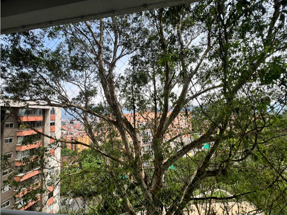 APARTAMENTO EN ARRIENDO EN LOS NARANJOS - ENVIGADO — foto 3