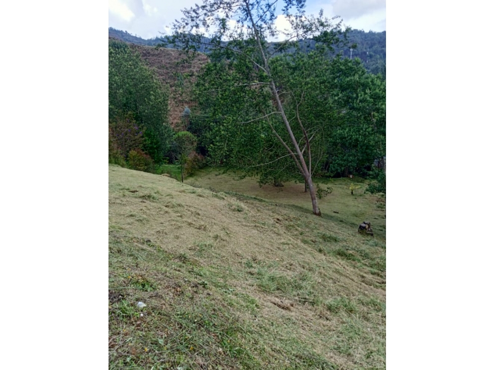 LOTE EN VENTA SECTOR EL ESCOBERO - ENVIGADO — foto 5