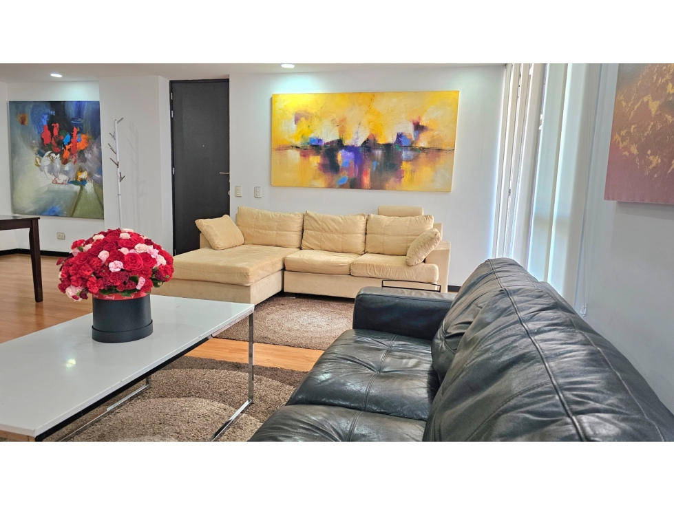 APARTAMENTO EN AMOBLADO EN ARRIENDO SECTOR DE CIUDAD DEL RIO — foto 4