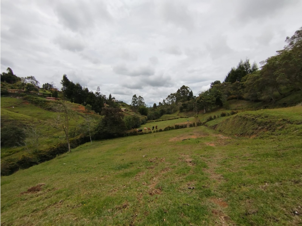Lote en venta en Rio Negro