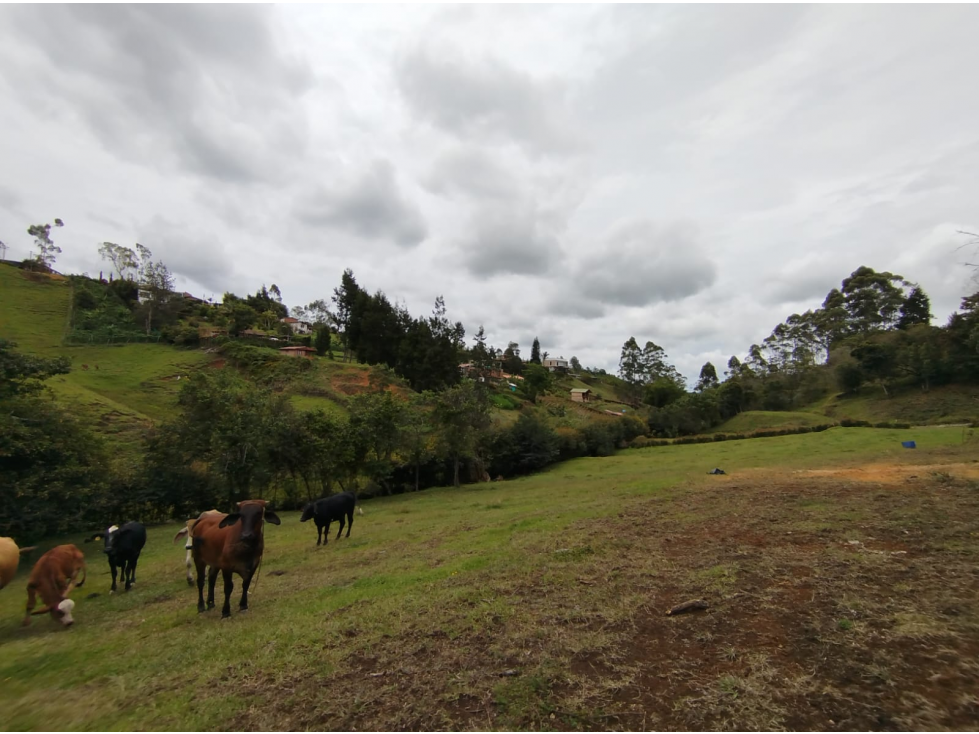 Lote en venta en Rio Negro