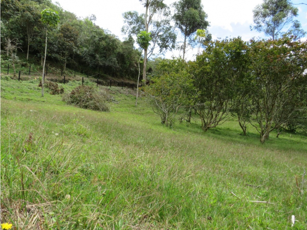 Lote en venta vereda El rosario, Marinilla - 3