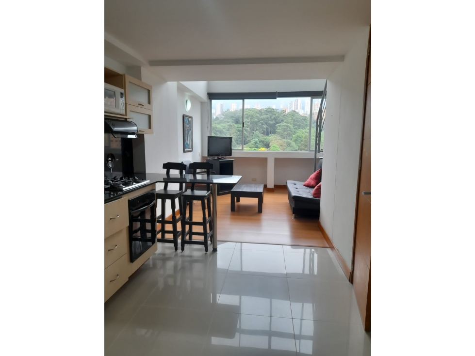 Apartaestudio Amoblado En Arriendo poblado Medellín — foto 2