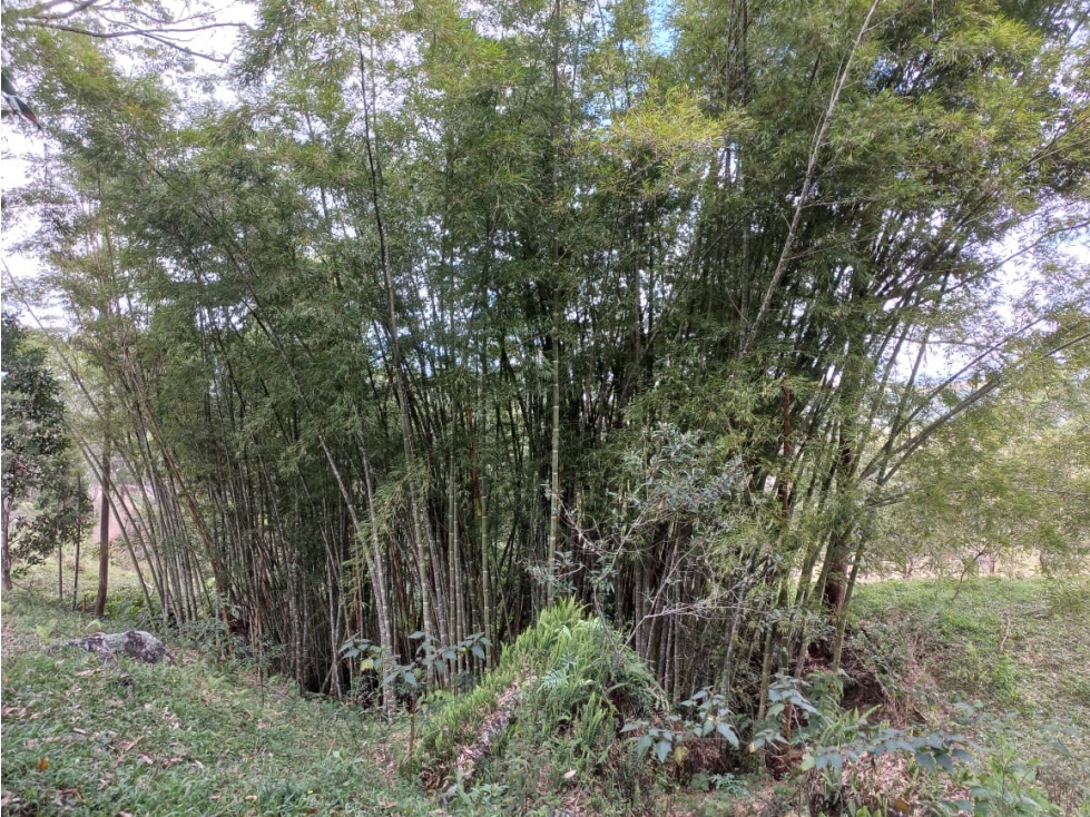 Lote en venta vereda El rosario, Marinilla - 4