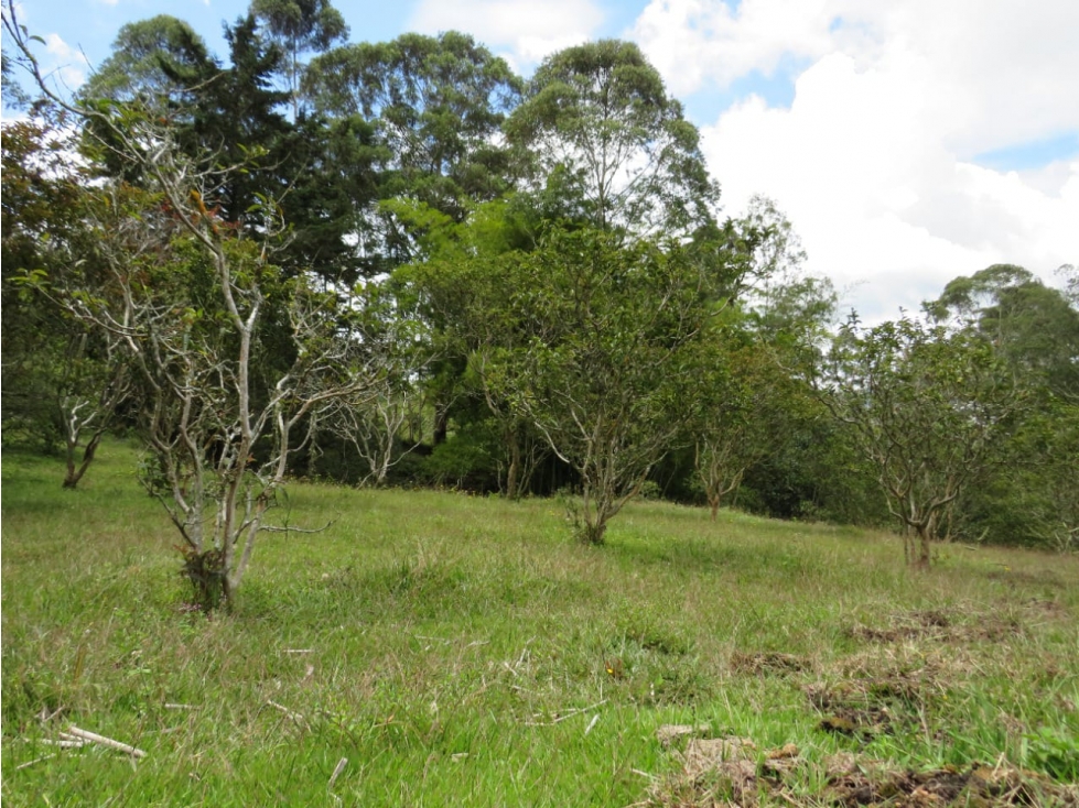 Lote en venta vereda El rosario, Marinilla - 5