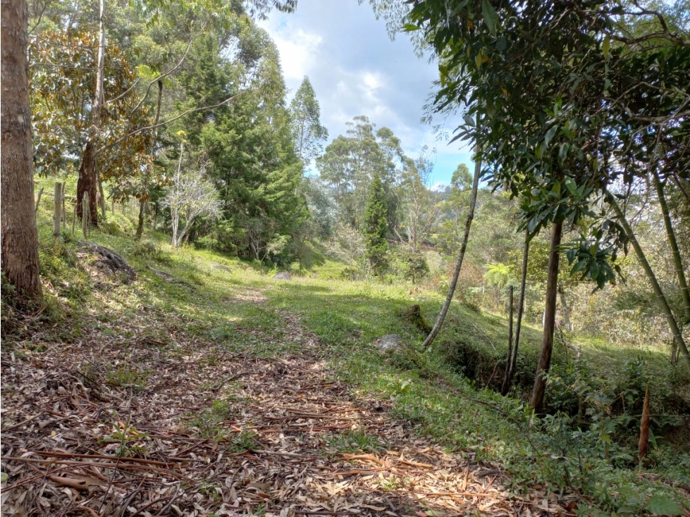 Lote en venta vereda El rosario, Marinilla - 6