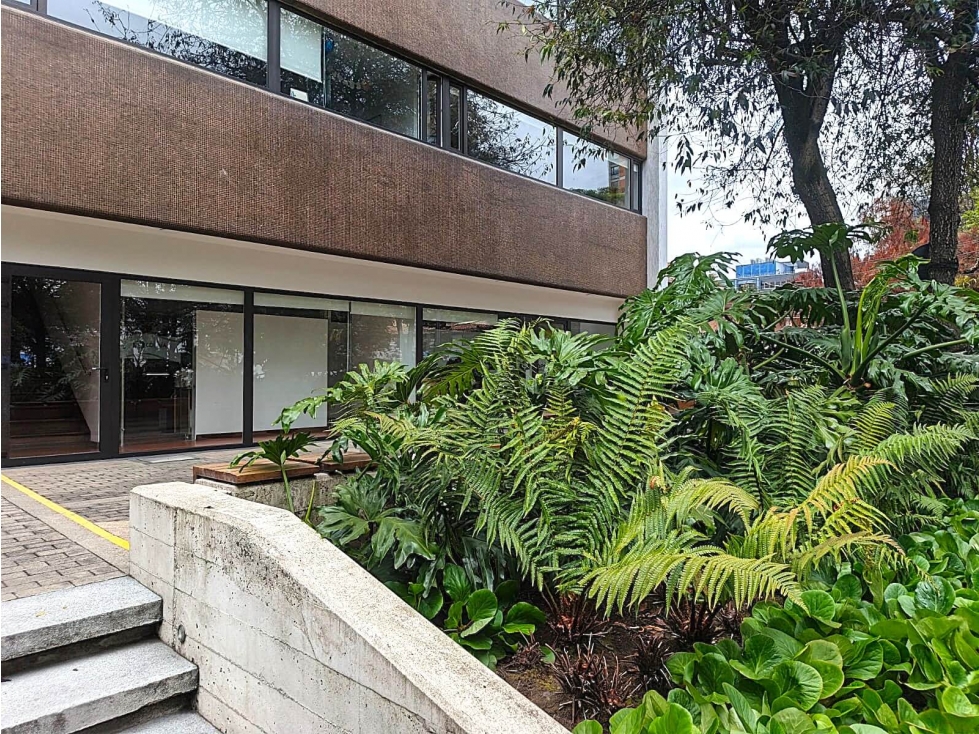 Oficina en Arriendo en el Nogal, 220 M2