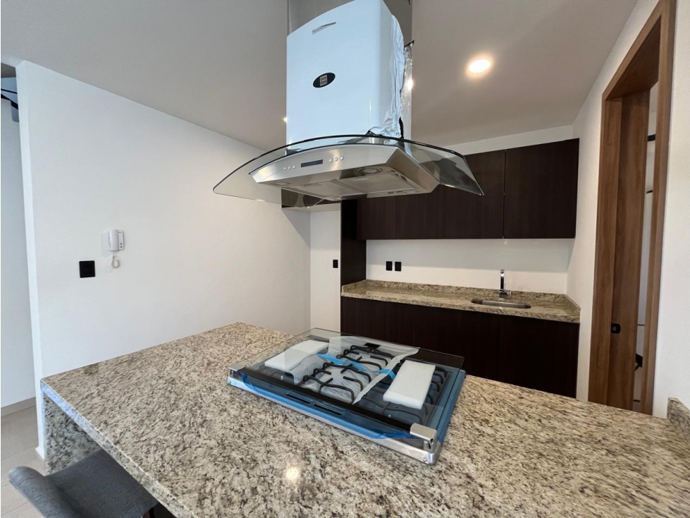 Casas en Preventa en Residencial Davica, San Pedro Cholula, Puebla - 6