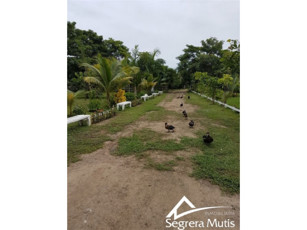Lote en Venta en Cartagena de Indias - TURBACO - 2