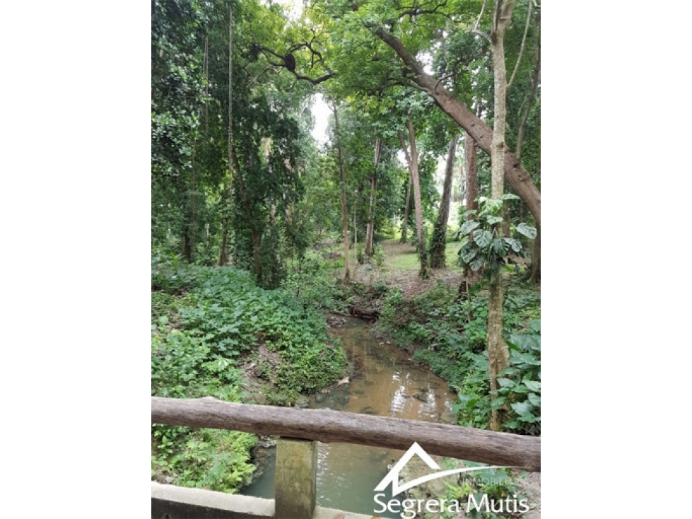 Lote en Venta en Cartagena de Indias - TURBACO - 4