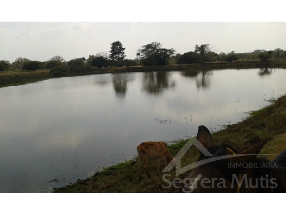 Finca en Venta en Cartagena de Indias - Via Mahates — foto 5