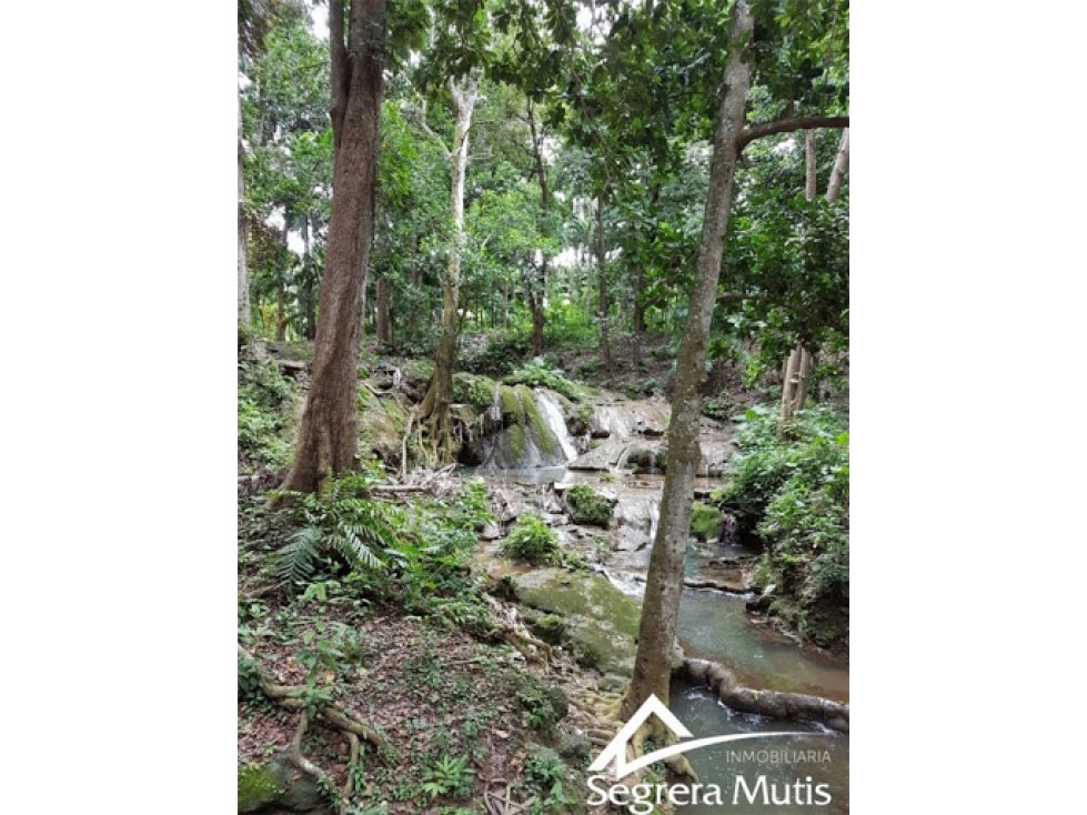 Lote en Venta en Cartagena de Indias - TURBACO - 6