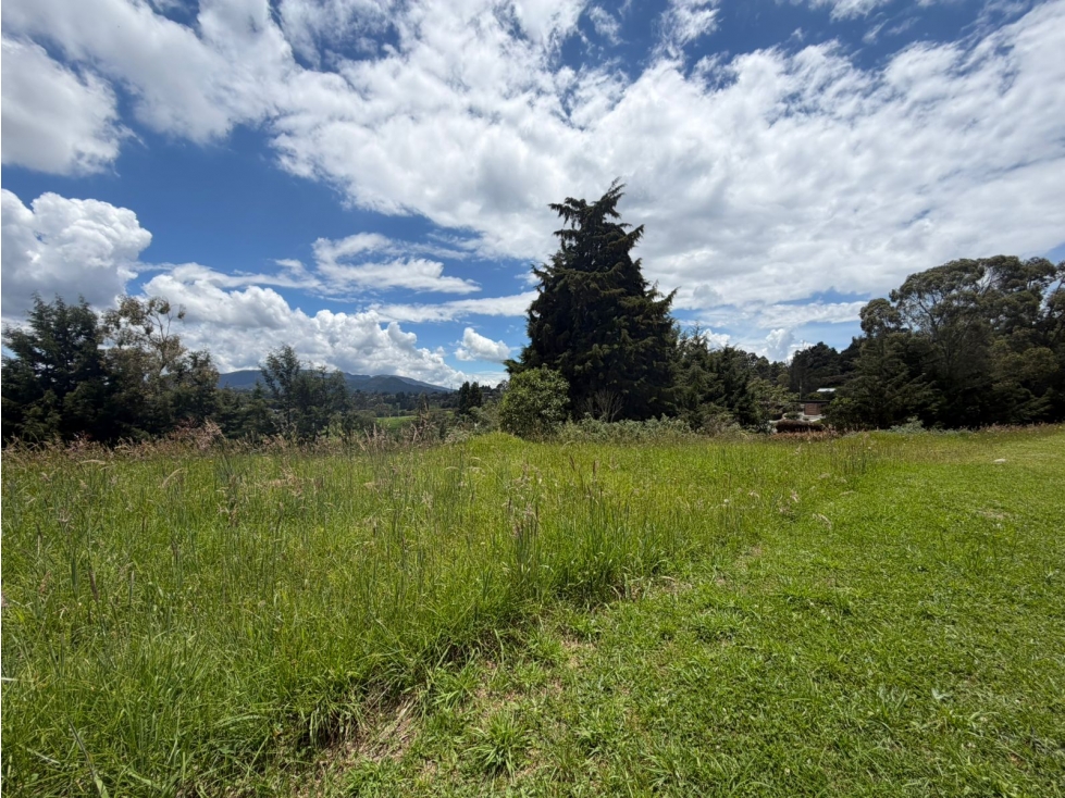 Lote Venta - Palmas