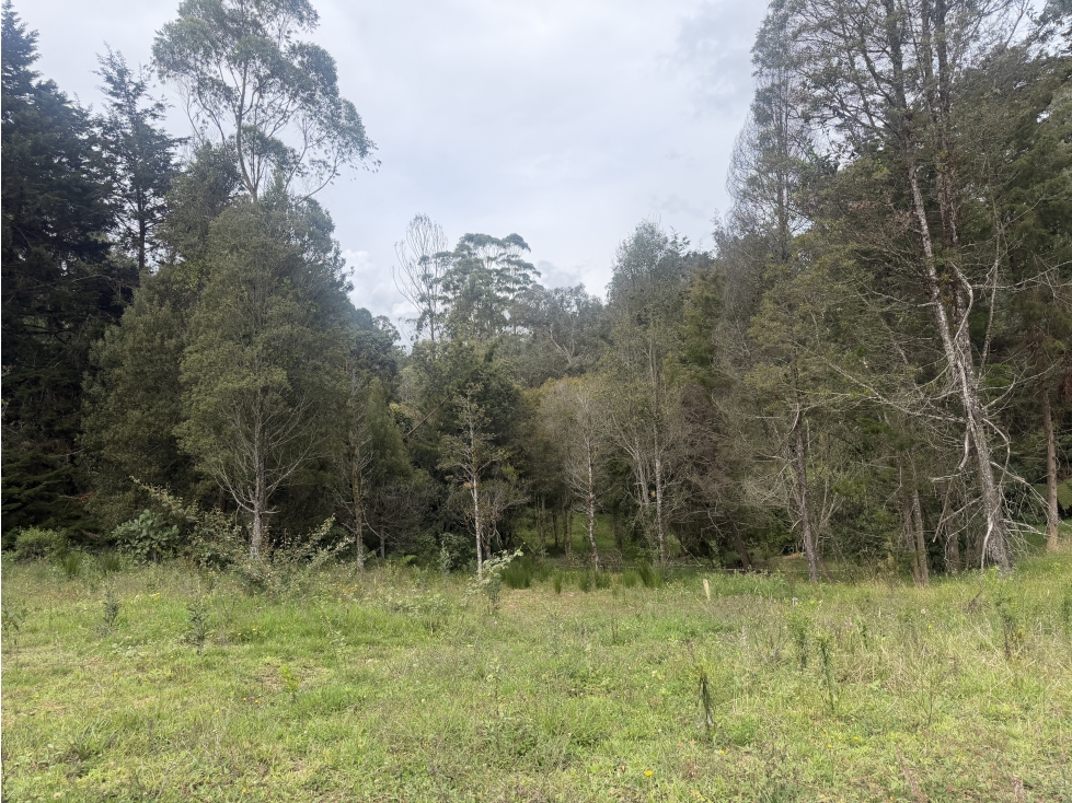 Venta LOTE - Alto de Palmas