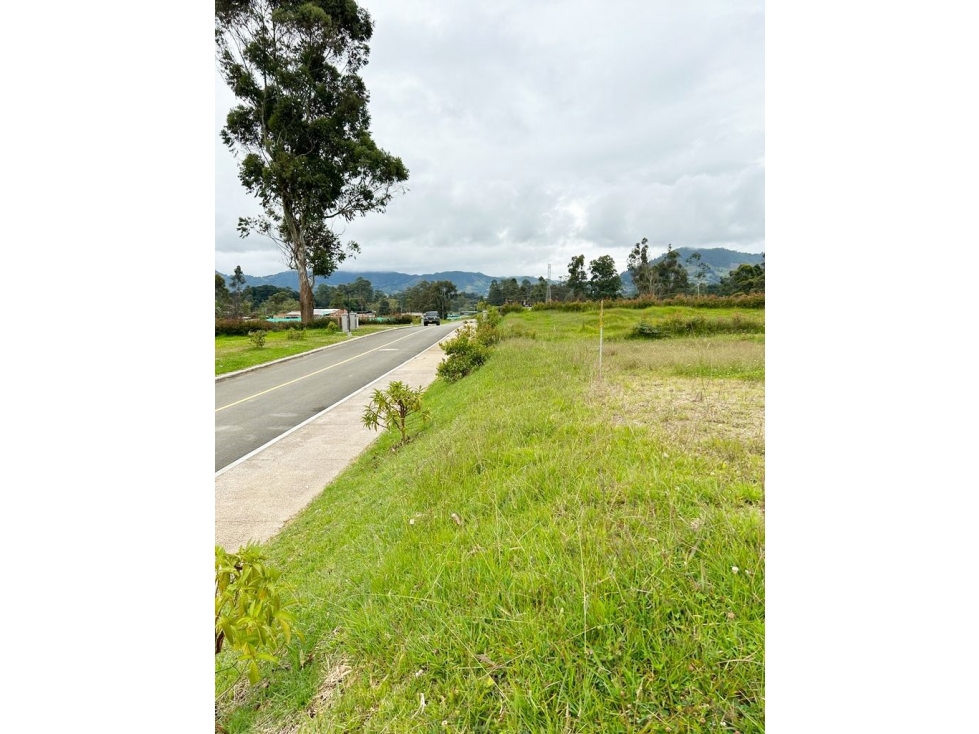 Venta Lote - La Ceja