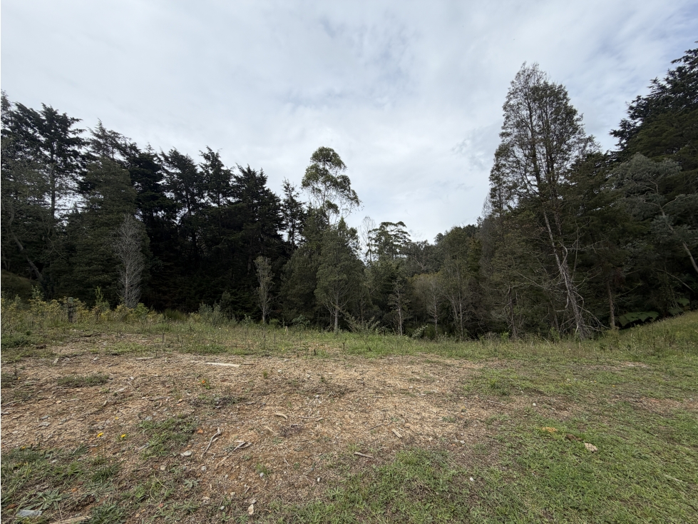 Venta LOTE - Alto de Palmas — foto 2