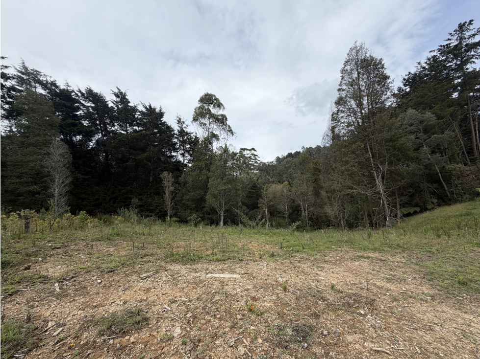 Venta LOTE - Alto de Palmas — foto 3