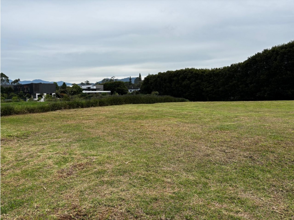 Venta - Lote Llanogrande - 6