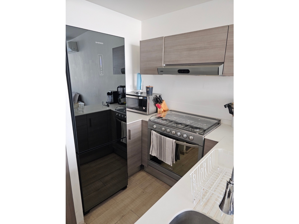 DEPARTAMENTO EN RENTA EN NUEVO SUR, MTY N.L. — foto 4