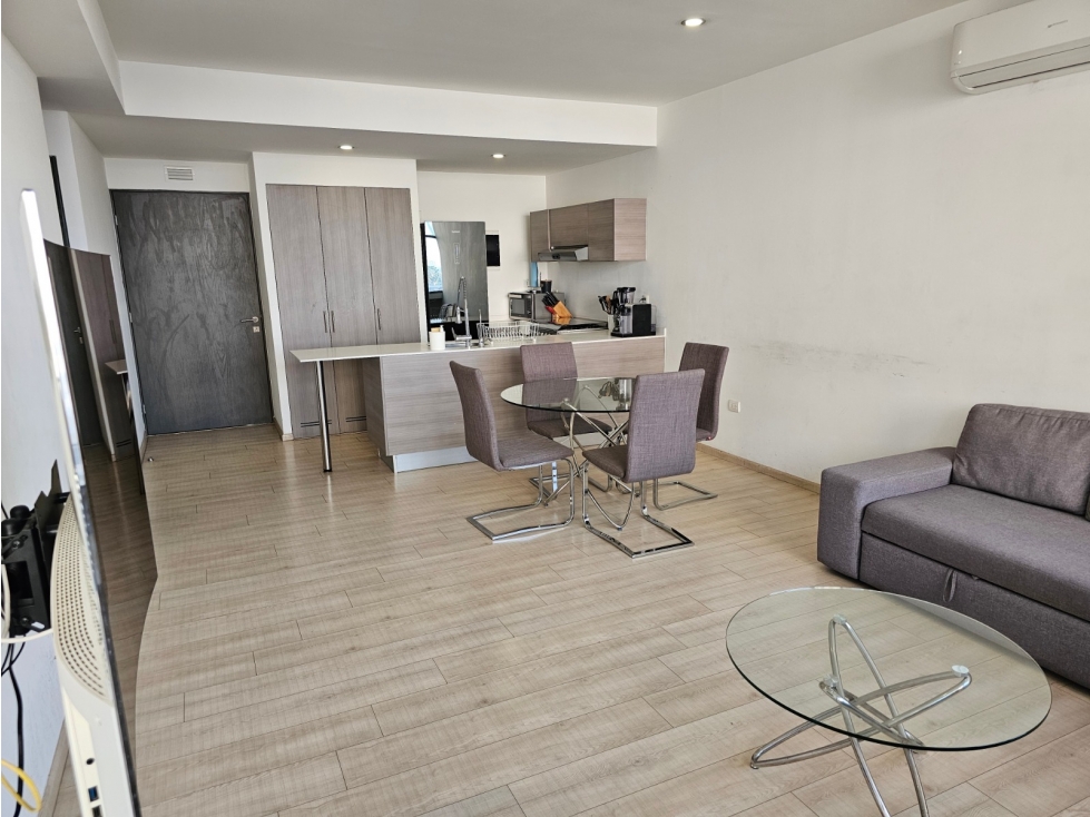 DEPARTAMENTO EN RENTA EN NUEVO SUR, MTY N.L. — foto 5