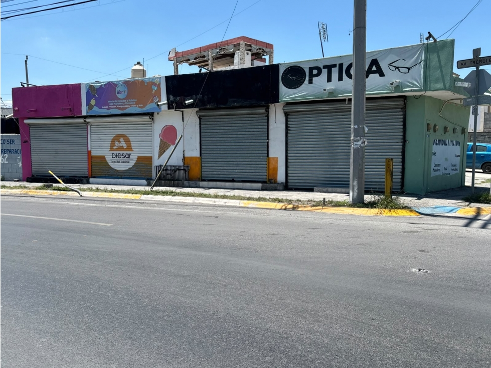 VENTA DE LOCALES EN APODACA, N.L. COL. TREBOLES - 1