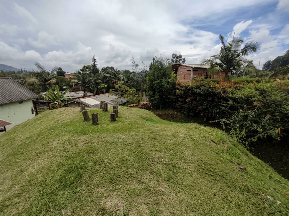 FINCA EN GUARNE (LA HONDITA) — foto 5