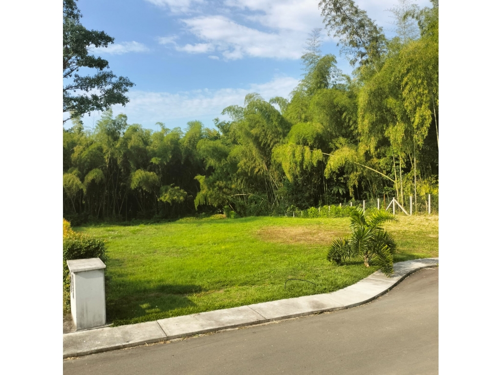 Venta de lote esquinero en condominio campestre cerritos — foto 2