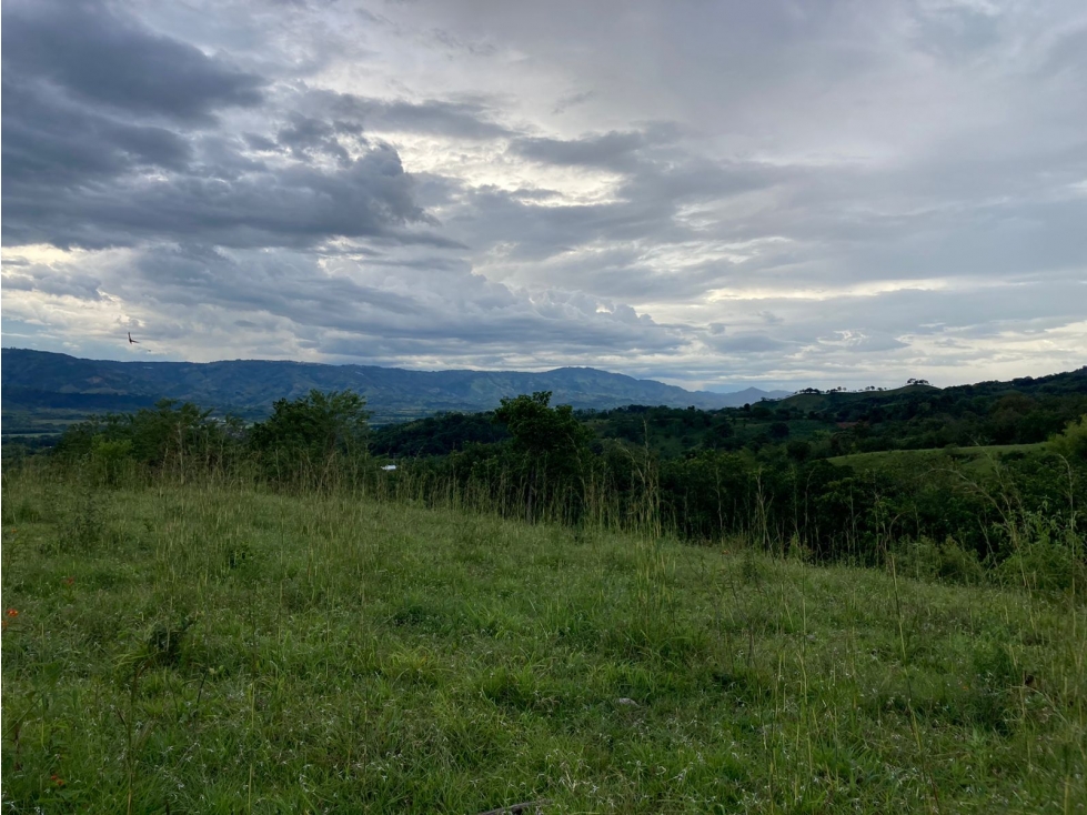 LOTES EN PARCELACION VITERBO CALDAS - 1